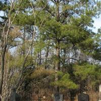 Gholson Cemetery on Sysoon