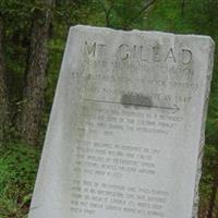 Mount Gilead United Methodist Church Cemetery on Sysoon