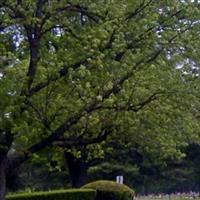 Glen Haven Memorial Gardens on Sysoon