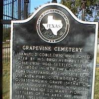Grapevine Cemetery on Sysoon