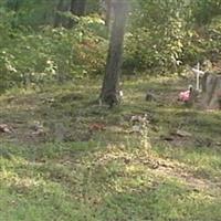 Green Vance Cemetery on Sysoon