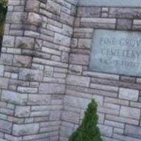 Pine Grove Cemetery, Walnut Street on Sysoon