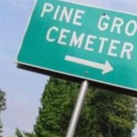 Pine Grove Cumberland Presbyterian Cemetery on Sysoon
