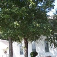 Oak Grove United Methodist Church on Sysoon