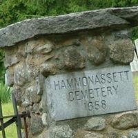 Hammonasset Cemetery on Sysoon