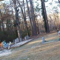 Hammond Grove Baptist Church Cemetery on Sysoon