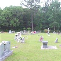 Hinson Cemetery on Sysoon