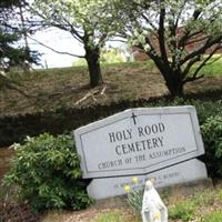 Holy Rood Cemetery on Sysoon