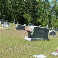 Homer Cemetery on Sysoon