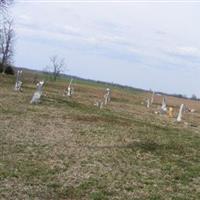 New Hope Baptist Church Cemetery on Sysoon