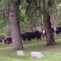 Horton Cemetery on Sysoon