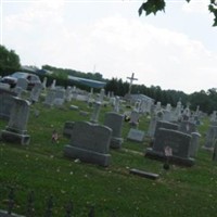 Immaculate Conception Catholic Church Cemetery on Sysoon