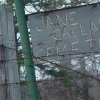Jane Callahan Cemetery on Sysoon
