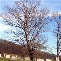 Jennings Cemetery on Sysoon