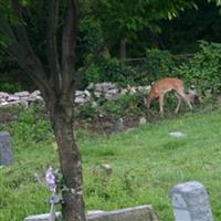 Jersey City Cemetery on Sysoon
