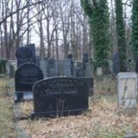 Jewish Cemetery at Hluboka on Sysoon