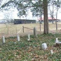 Johnson Cemetery on Sysoon