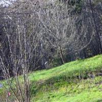 Jones-McFadden Cemetery on Sysoon