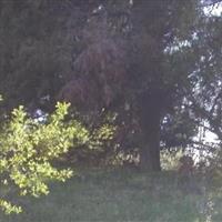 Koewing Family Cemetery on Sysoon