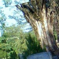 Lawleys Chapel Cemetery on Sysoon