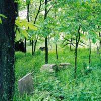 Lebo Cemetery on Sysoon