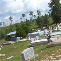 Leesville Memorial Cemetery on Sysoon