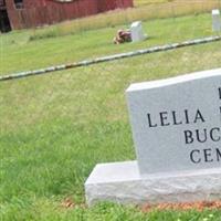 Lelia Randolph Buchanan Cemetery on Sysoon