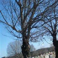 Lenoir City Cemetery on Sysoon