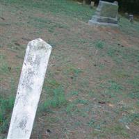 Lewis Family Plot on Sysoon