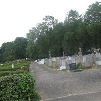 Liberal Jewish Cemetery on Sysoon