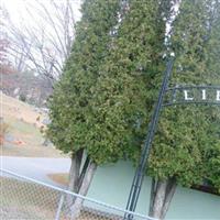 Liberty Cemetery on Sysoon