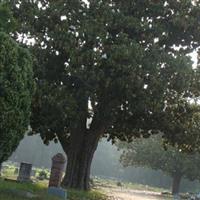 Lincoln Cemetery on Sysoon