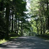 Linwood Cemetery on Sysoon