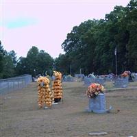 Little Brown Cemetery on Sysoon