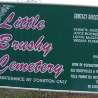 Little Brushy Cemetery on Sysoon