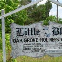 Little Bless Holiness Church Cemetery on Sysoon