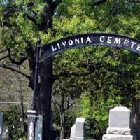 Livonia Cemetery on Sysoon
