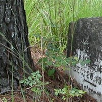 Log Bridge Cemetery on Sysoon