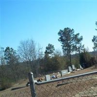 Lowery-Peterson Cemetery (Colored) on Sysoon