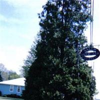 Salem Lutheran Cemetery (Mortons Corners, Town of on Sysoon