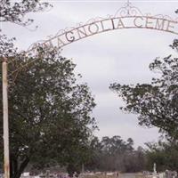 Magnolia Cemetery on Sysoon