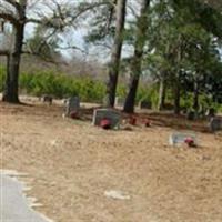 Magnolia Cemetery on Sysoon