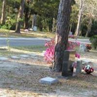 Magnolia Cemetery on Sysoon