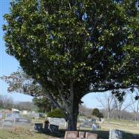 Magnolia Cemetery on Sysoon