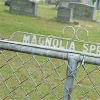 Magnolia Springs Cemetery on Sysoon