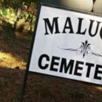 Malugin Cemetery on Sysoon