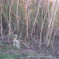 Manley Cemetery on Sysoon