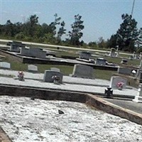 Martin Community Cemetery on Sysoon