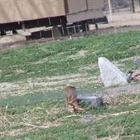 Masten Family Cemetery on Sysoon