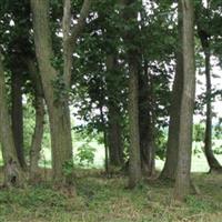 McCormick Cemetery on Sysoon